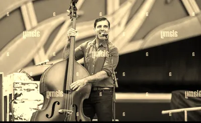 The Avett Brothers